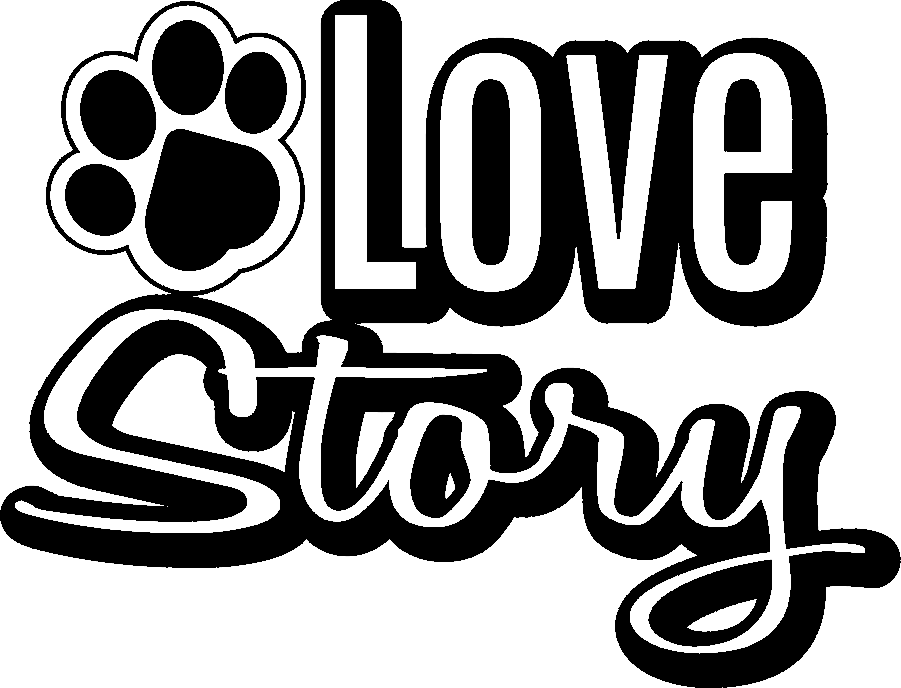 Love Story